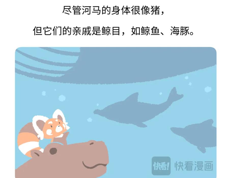 《胖达x胖达》第239话 第28页