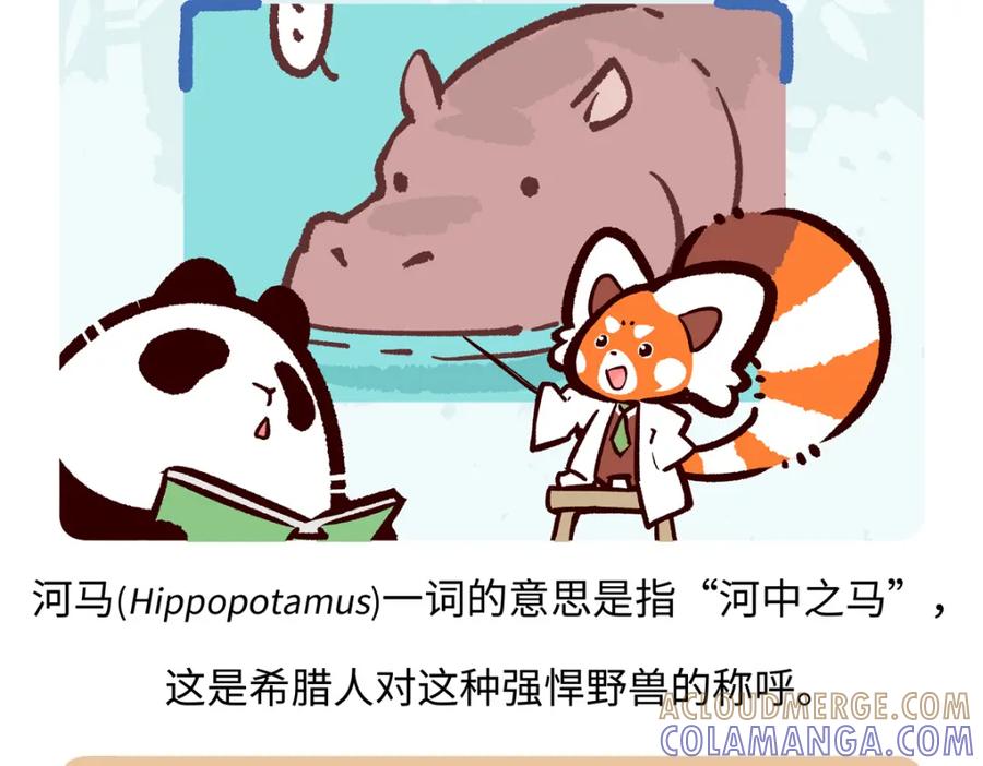 《胖达x胖达》第239话 第19页