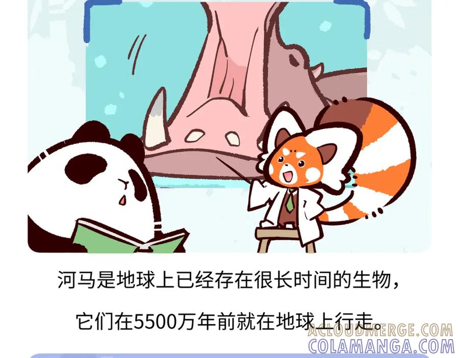 《胖达x胖达》第239话 第25页