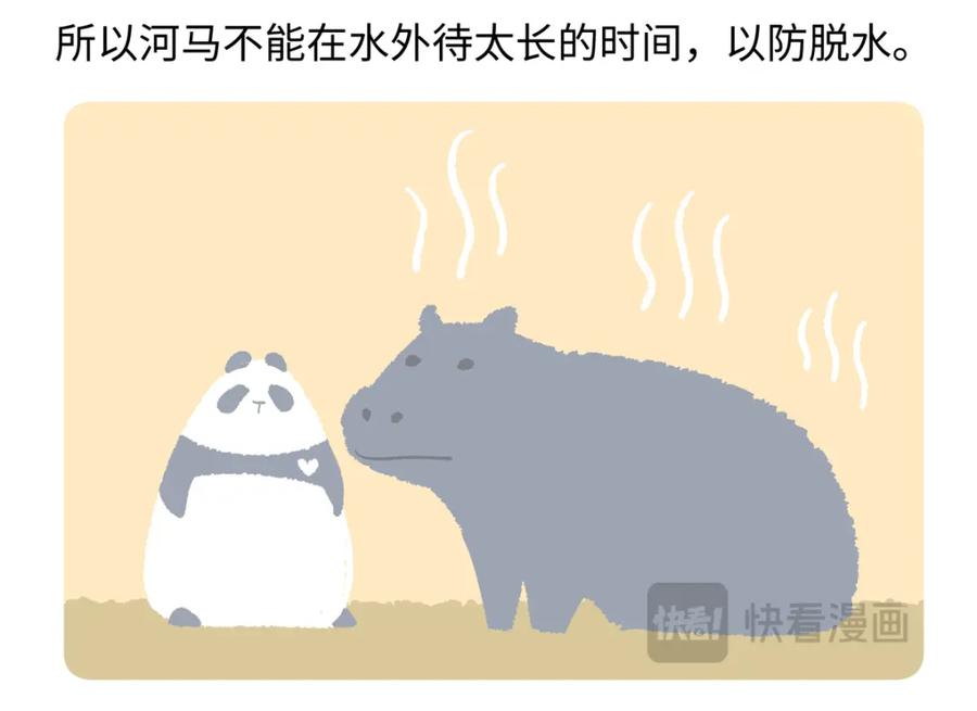 《胖达x胖达》第240话 第28页