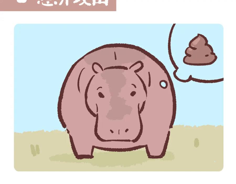 《胖达x胖达》第240话 第14页