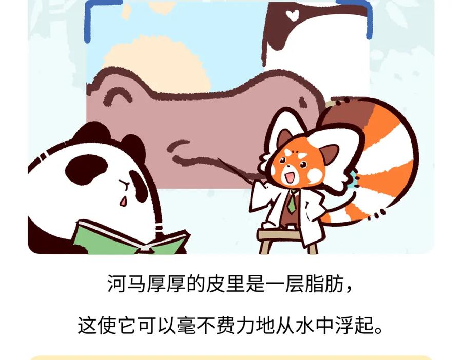 《胖达x胖达》第240话 第26页