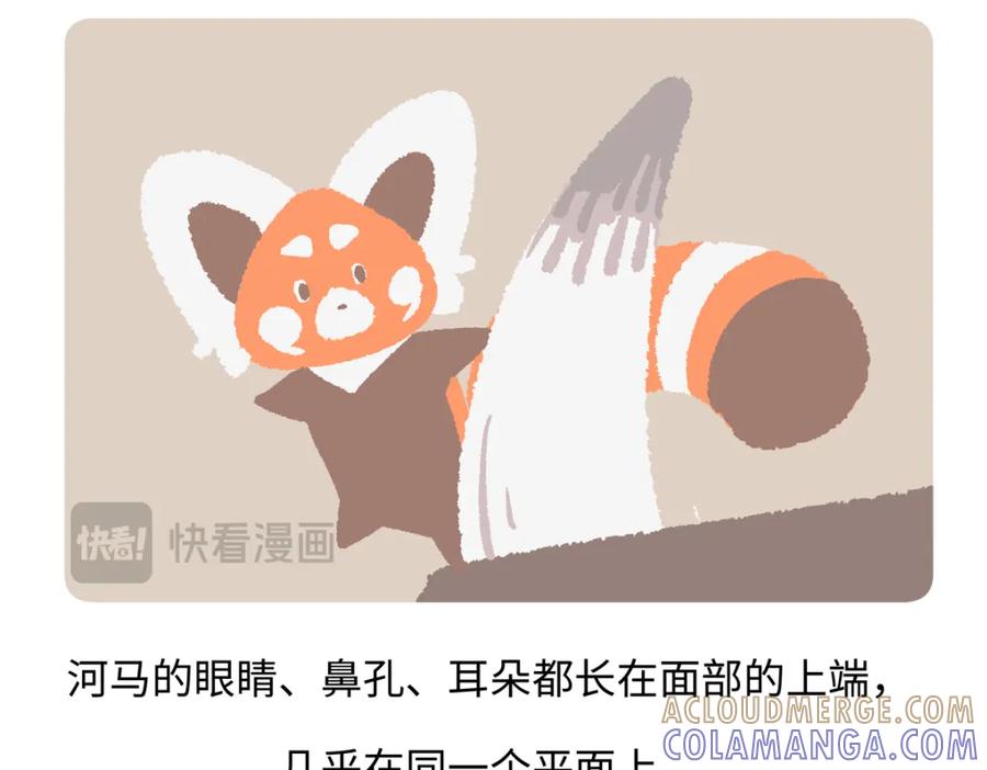 《胖达x胖达》第240话 第23页