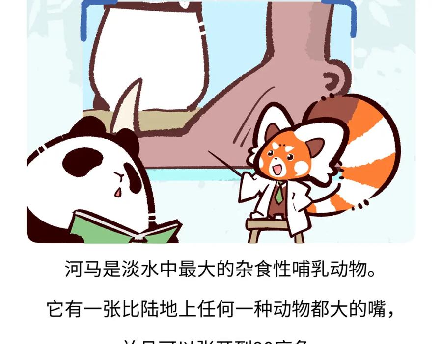 《胖达x胖达》第240话 第20页