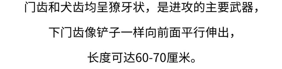 《胖达x胖达》第240话 第22页