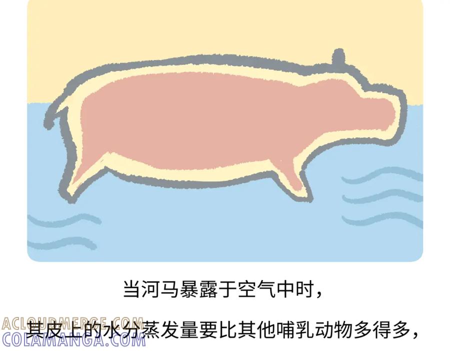 《胖达x胖达》第240话 第27页