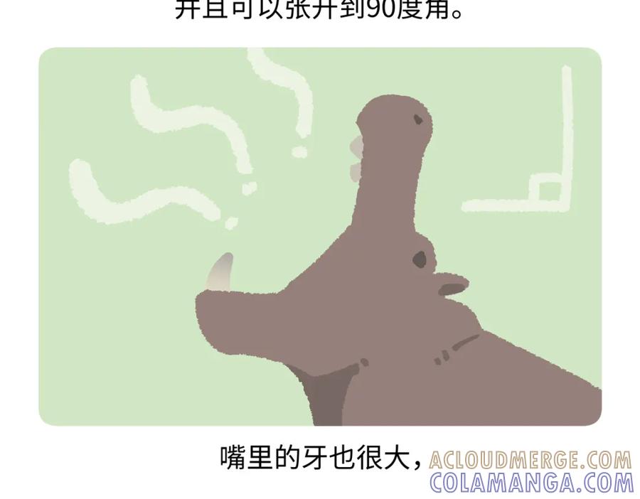《胖达x胖达》第240话 第21页