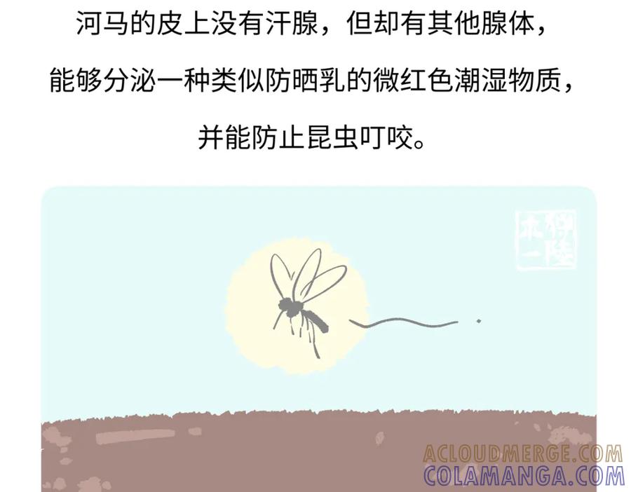 《胖达x胖达》第240话 第29页