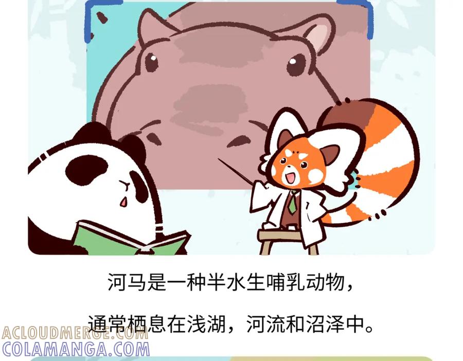 《胖达x胖达》第241话 第17页