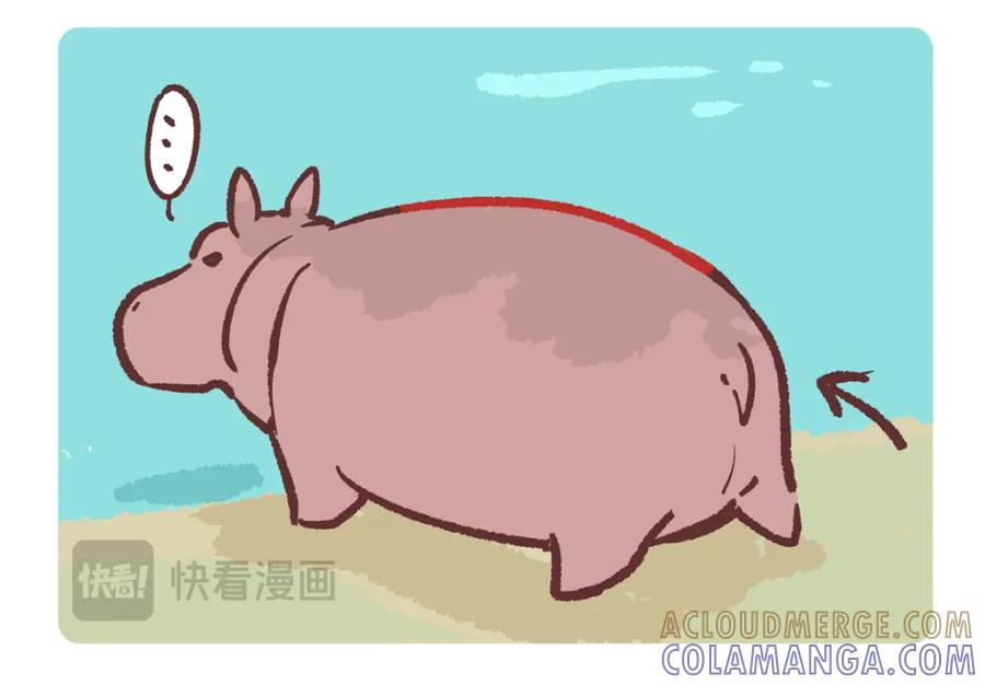 《胖达x胖达》第241话 第13页