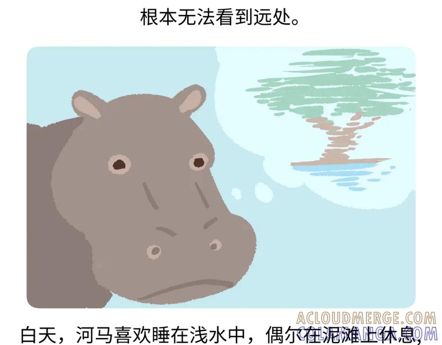 《胖达x胖达》第241话 第25页