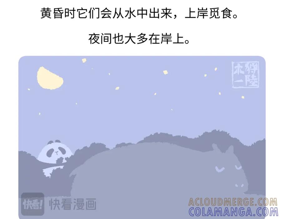 《胖达x胖达》第241话 第27页