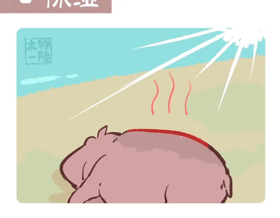 《胖达x胖达》第241话 第12页