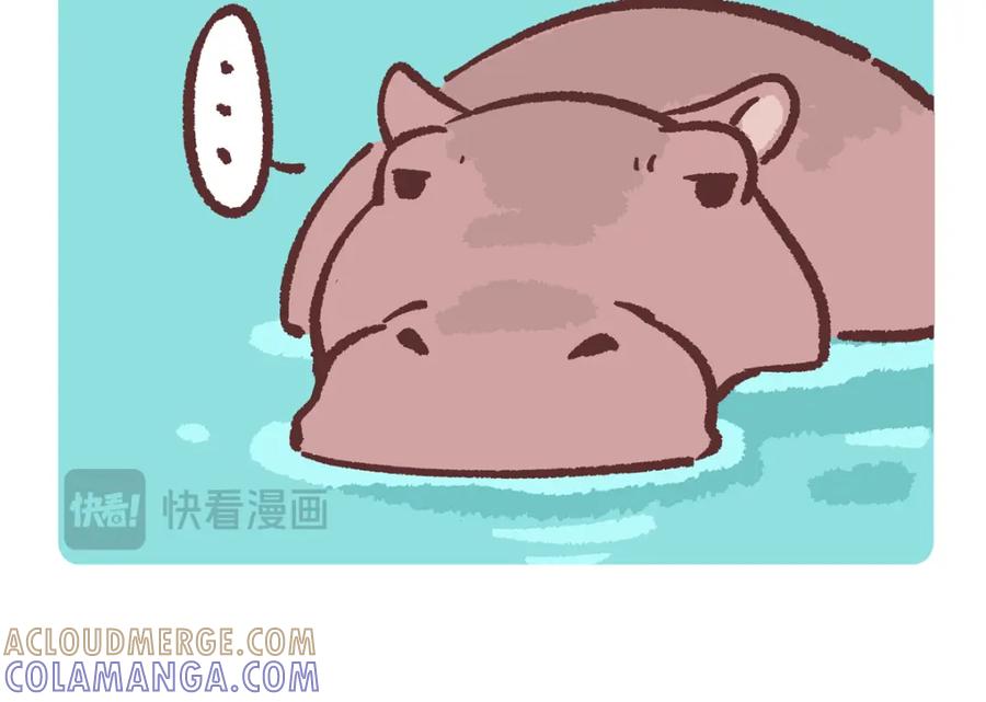 《胖达x胖达》第241话 第5页