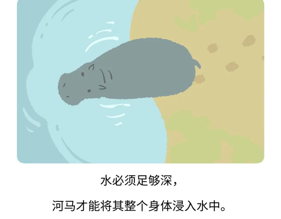《胖达x胖达》第241话 第18页