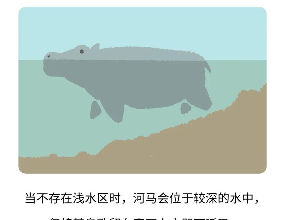 《胖达x胖达》第241话 第20页