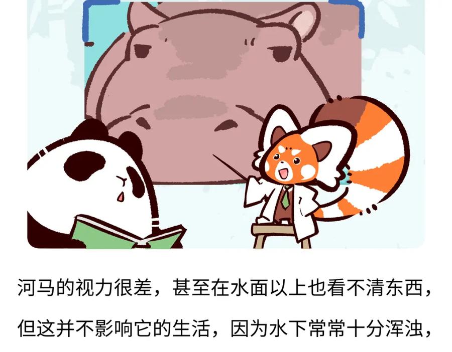 《胖达x胖达》第241话 第24页