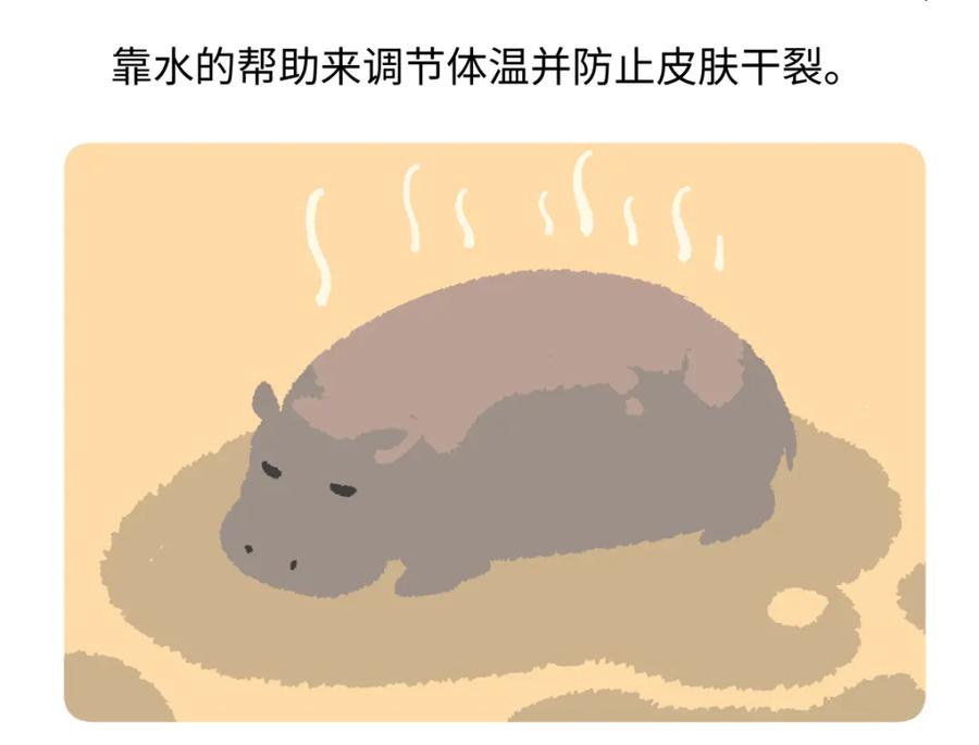 《胖达x胖达》第241话 第26页