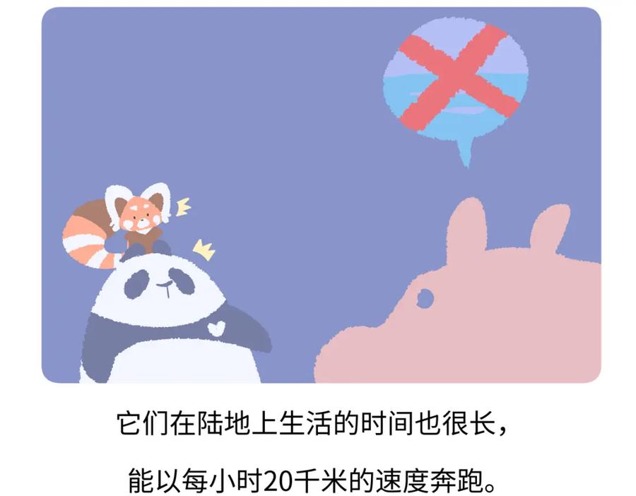 《胖达x胖达》第242话 第20页