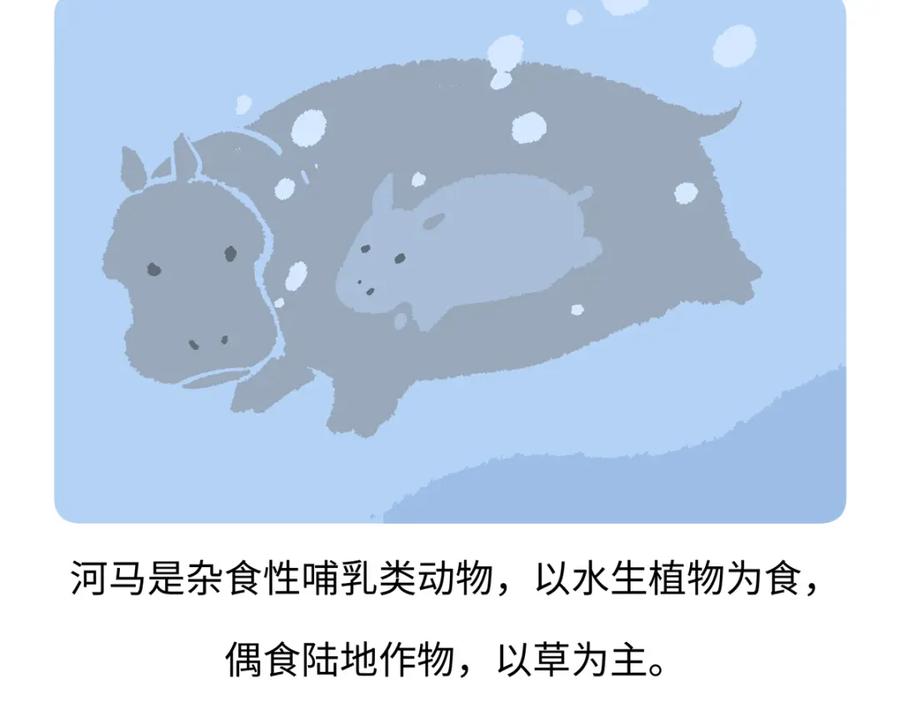 《胖达x胖达》第242话 第24页