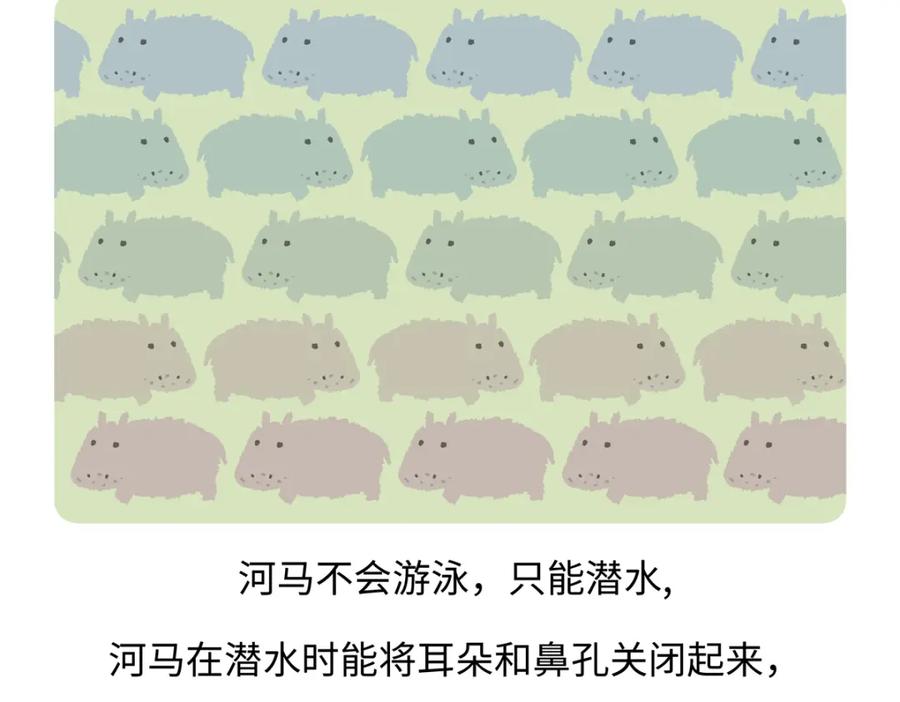 《胖达x胖达》第242话 第18页
