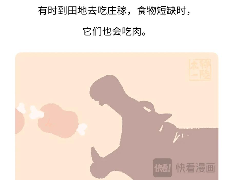 《胖达x胖达》第242话 第26页