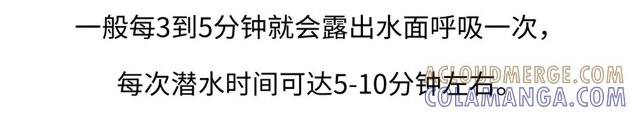 《胖达x胖达》第242话 第19页