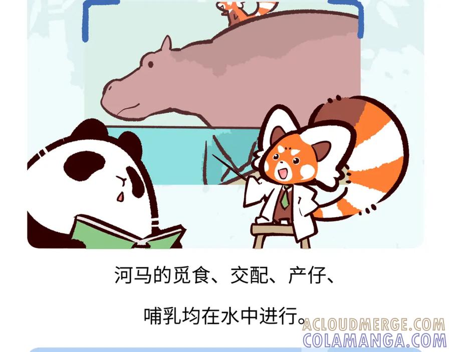 《胖达x胖达》第242话 第23页