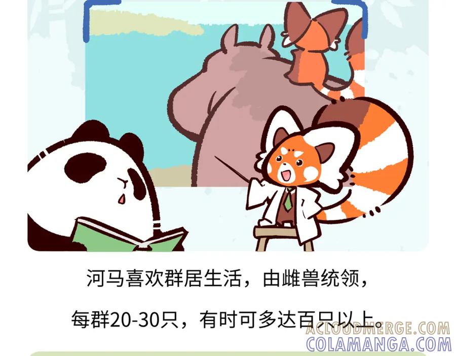 《胖达x胖达》第242话 第17页