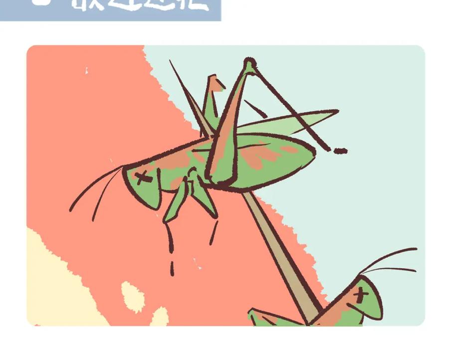 《胖达x胖达》第242话 第12页