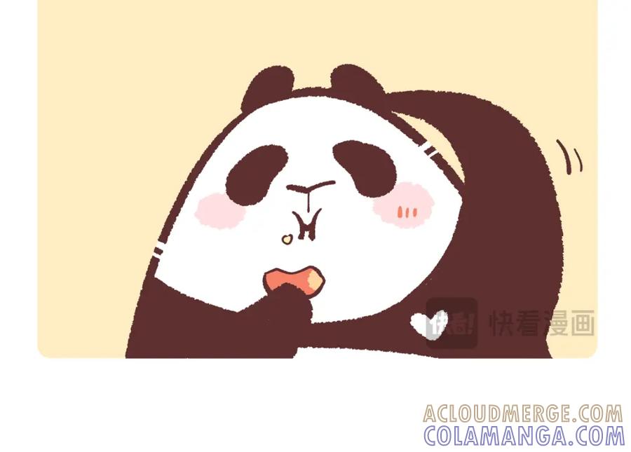 《胖达x胖达》第243话 第5页