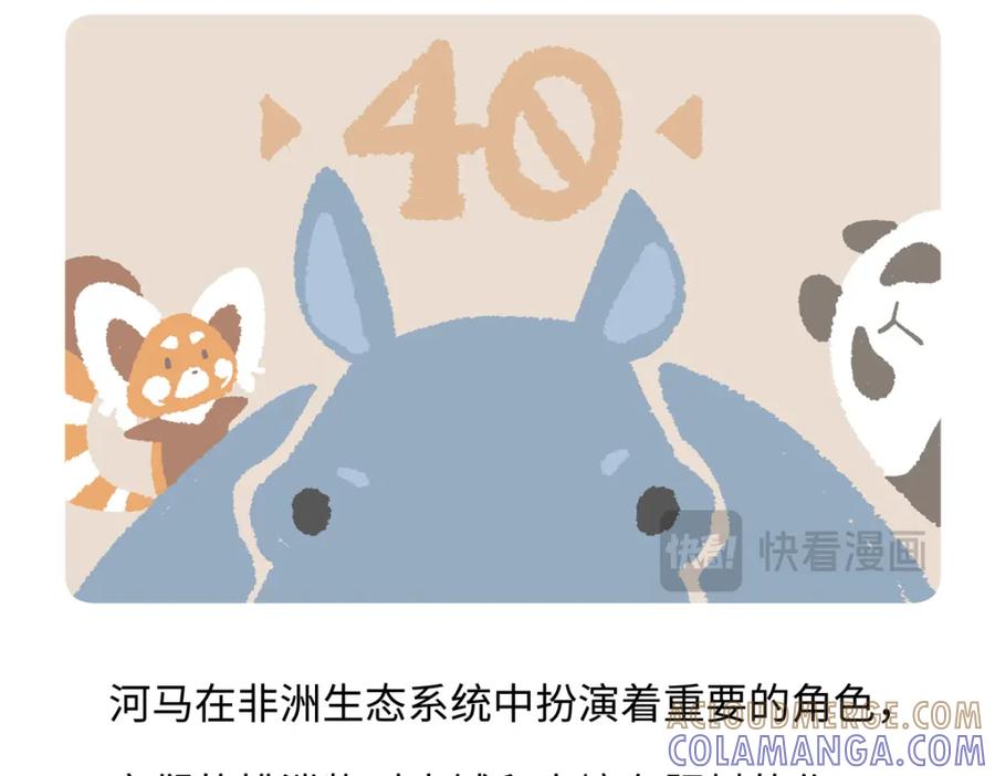《胖达x胖达》第243话 第21页