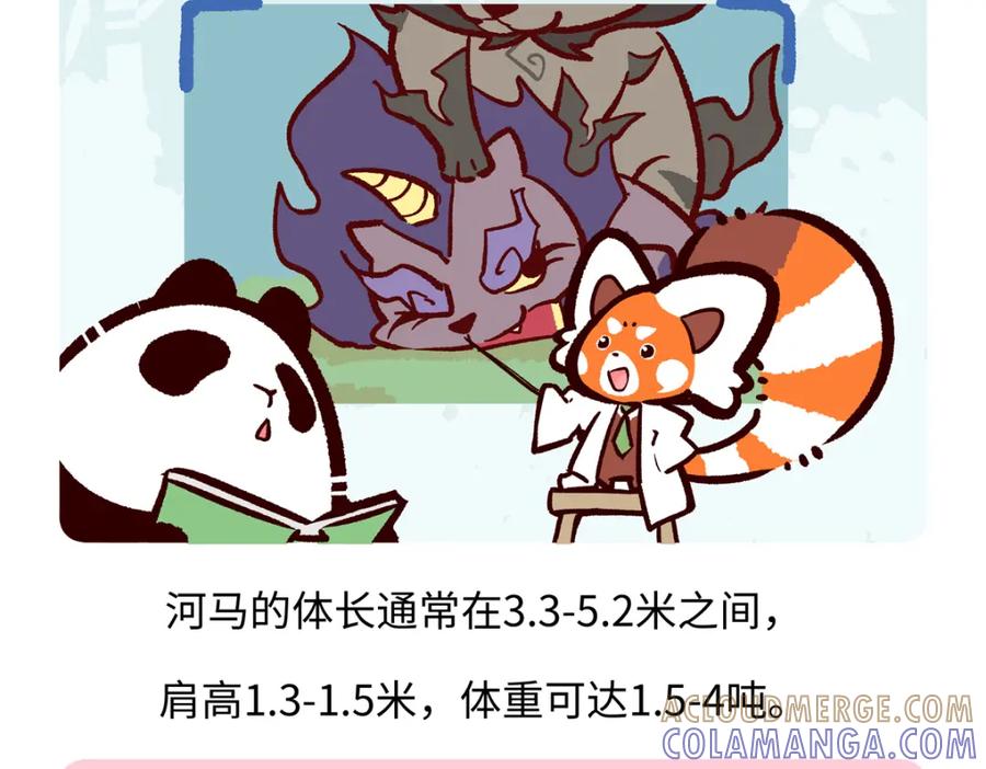 《胖达x胖达》第243话 第19页