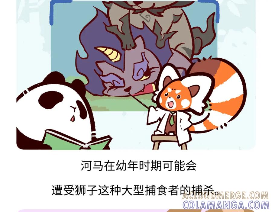 《胖达x胖达》第243话 第25页