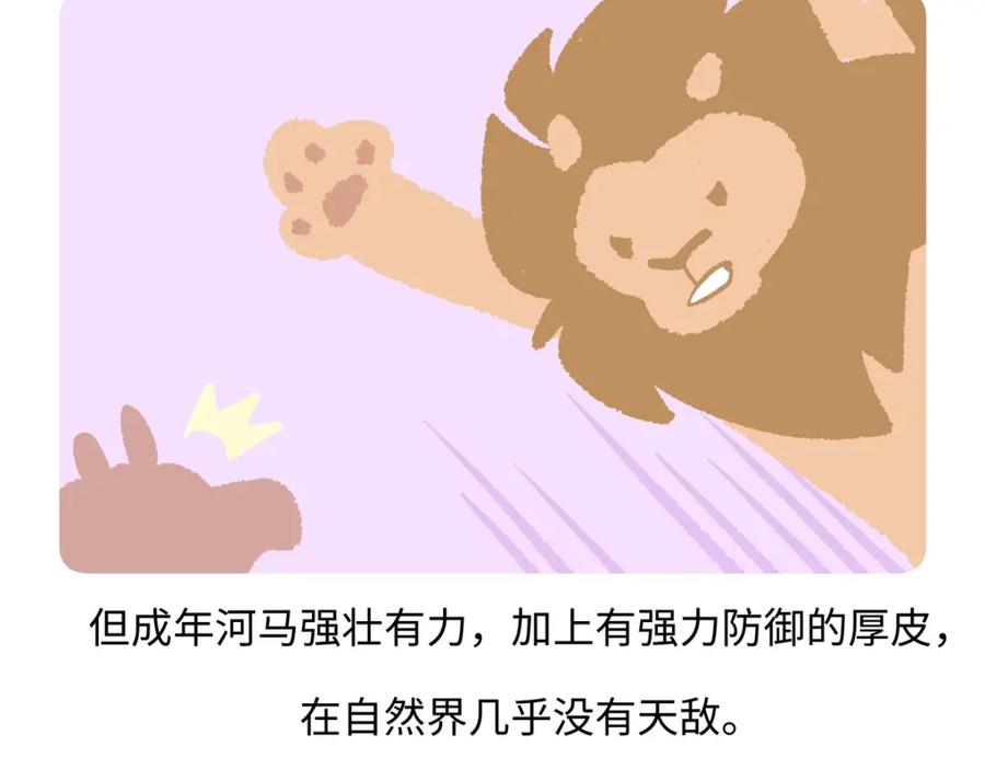 《胖达x胖达》第243话 第26页