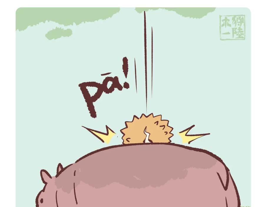 《胖达x胖达》第243话 第8页