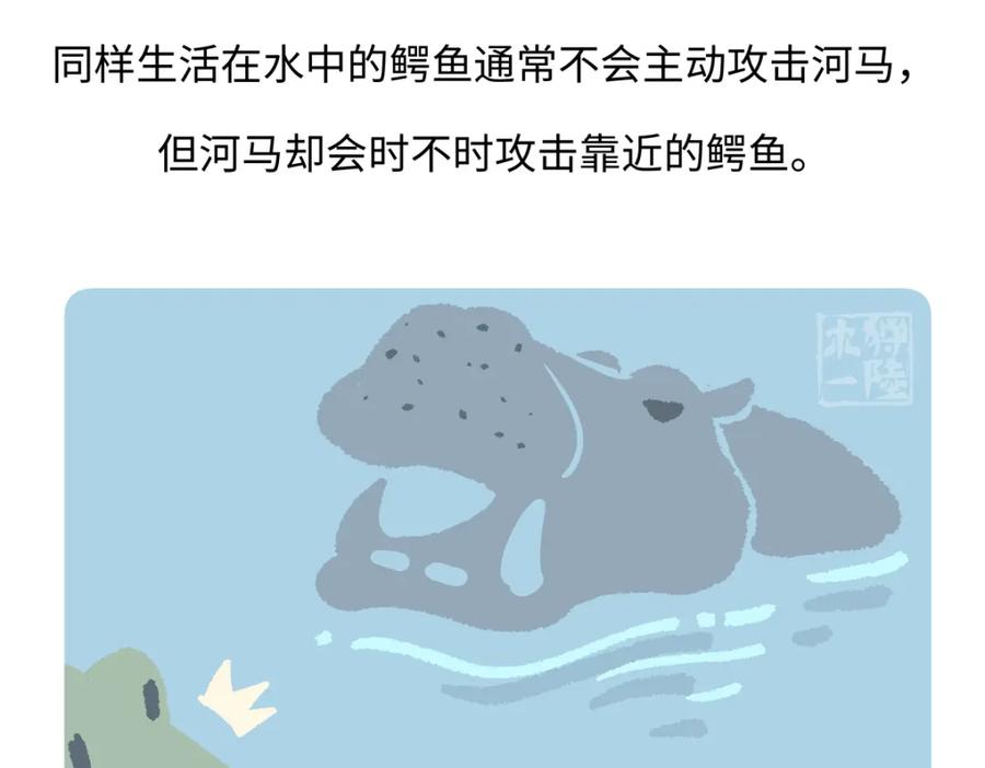 《胖达x胖达》第243话 第28页