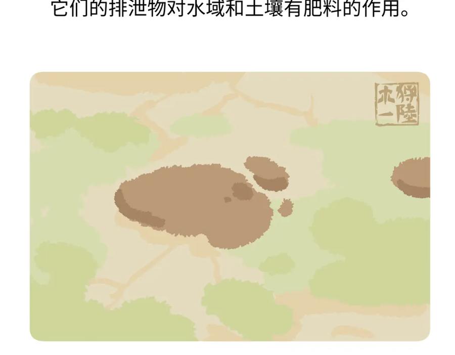 《胖达x胖达》第243话 第22页