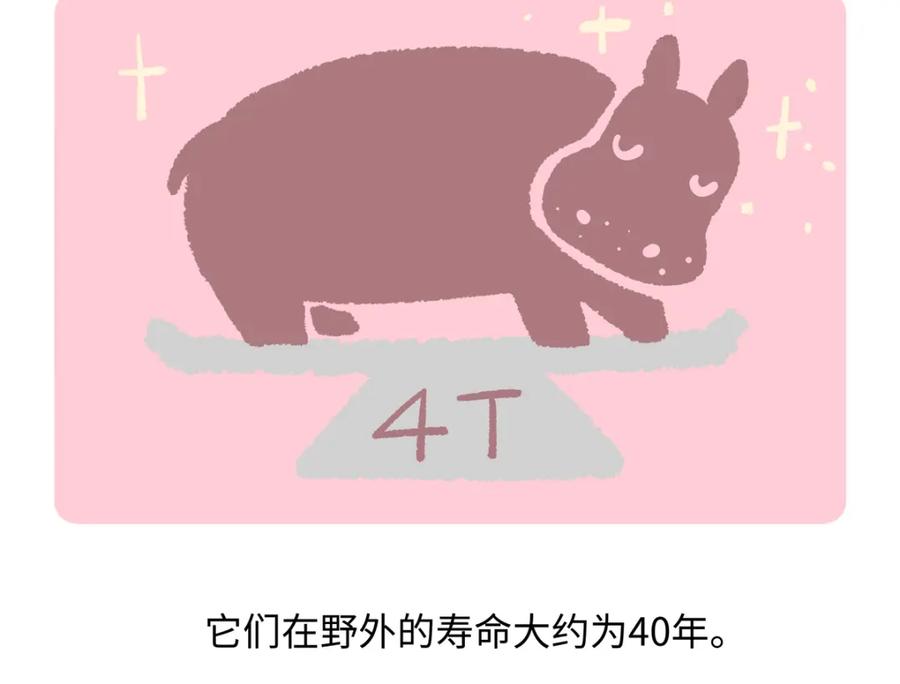 《胖达x胖达》第243话 第20页