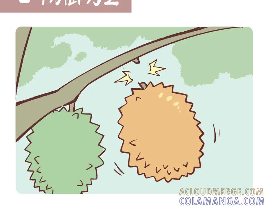 《胖达x胖达》第243话 第7页