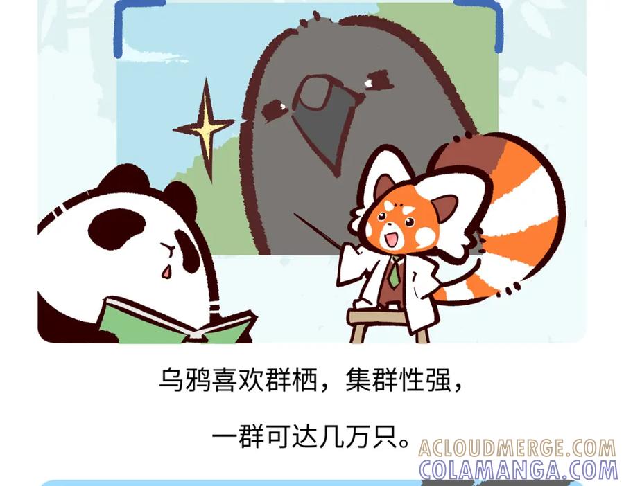 《胖达x胖达》第244话 第27页
