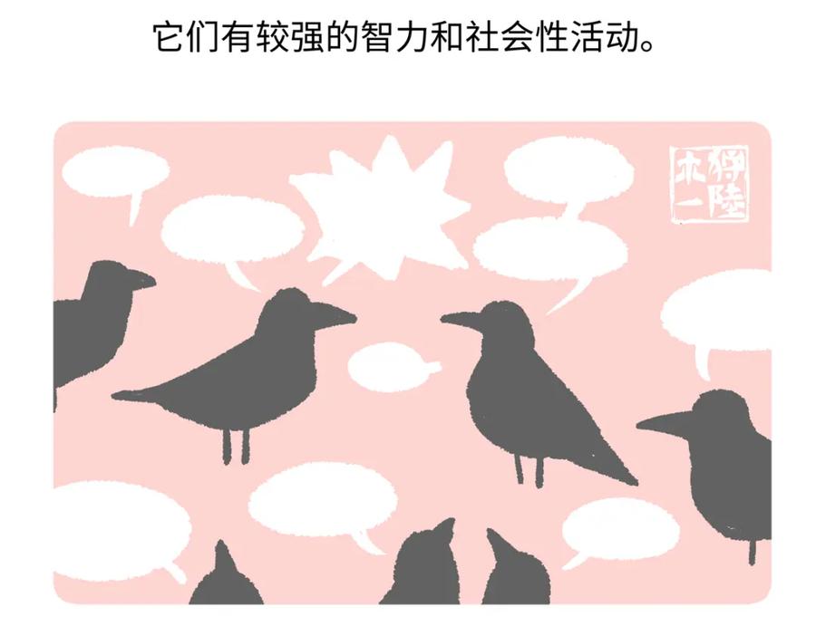 《胖达x胖达》第244话 第30页