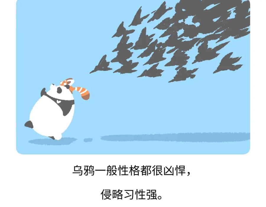 《胖达x胖达》第244话 第28页