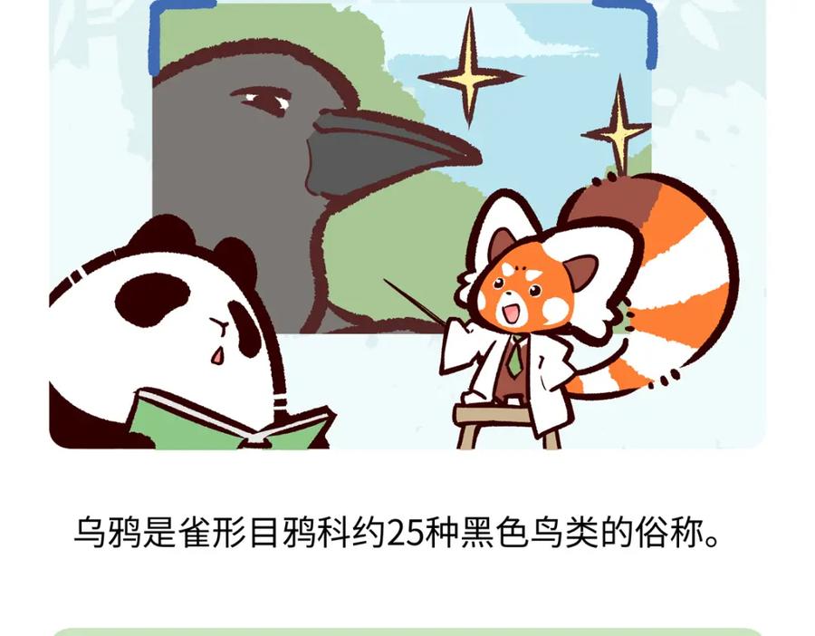 《胖达x胖达》第244话 第20页