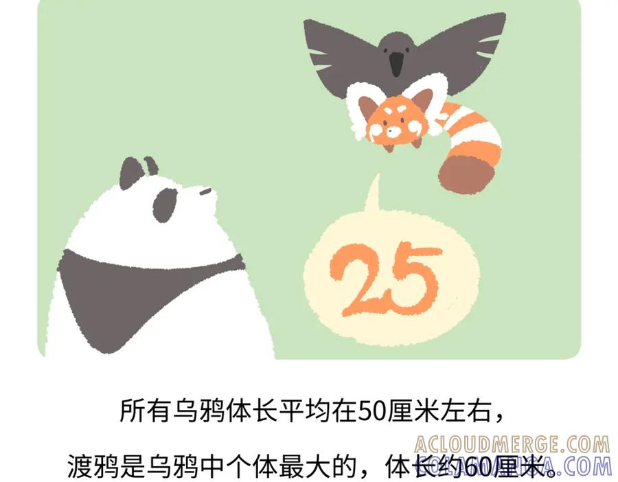 《胖达x胖达》第244话 第21页