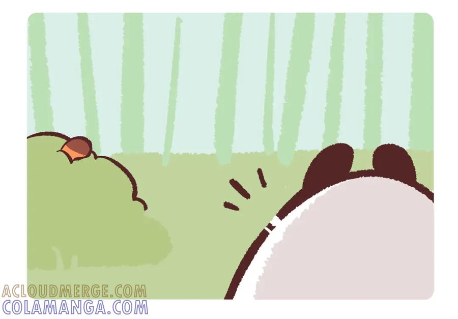 《胖达x胖达》第244话 第3页