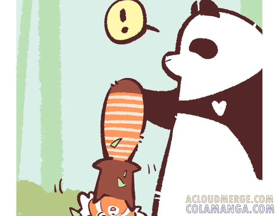 《胖达x胖达》第244话 第5页