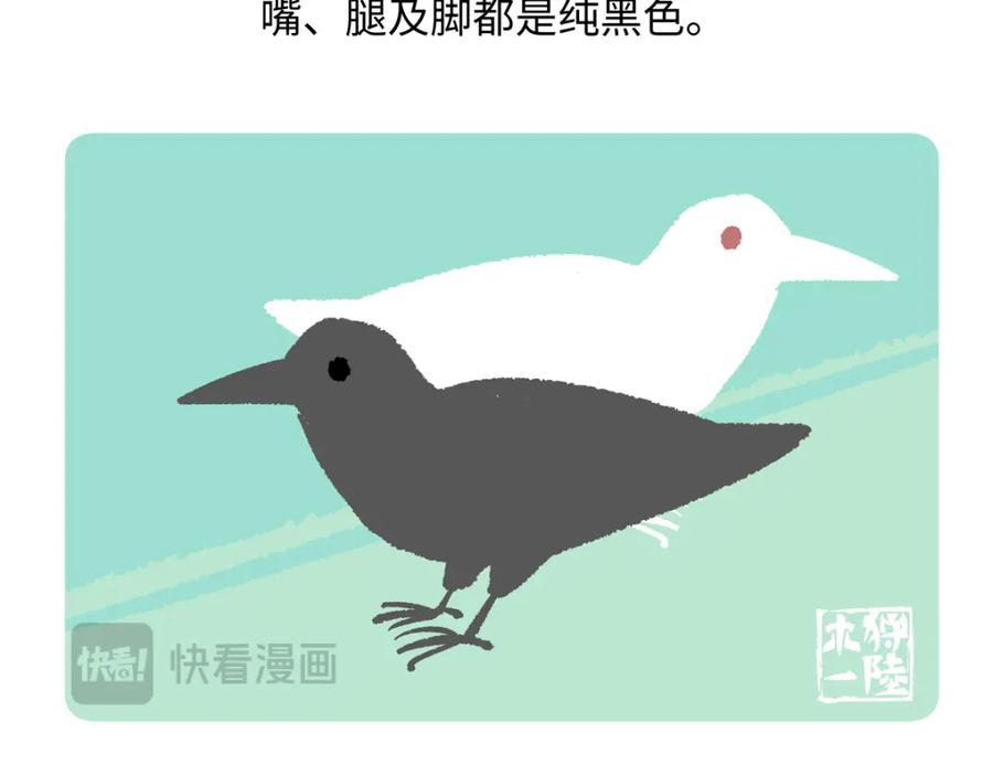 《胖达x胖达》第244话 第24页