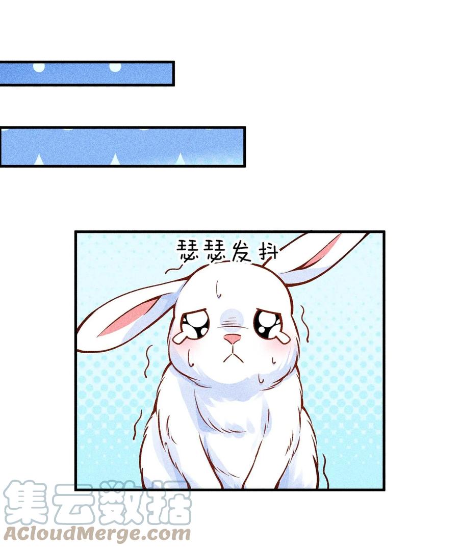 我养成了一个病弱皇子 028 崽崽的木兔子 第43页