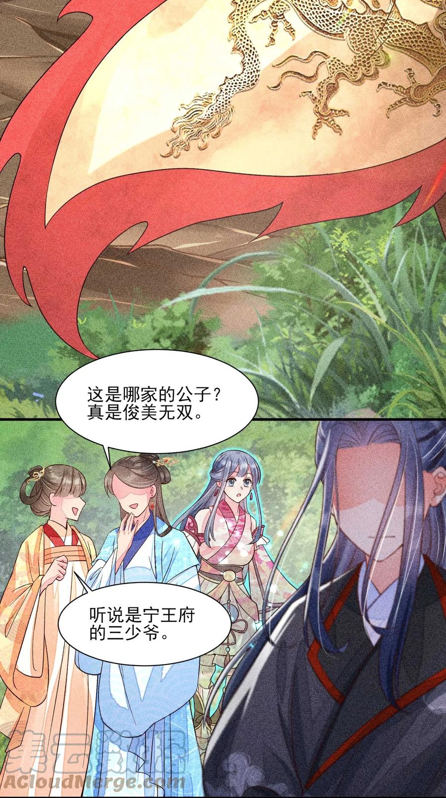 我养成了一个病弱皇子 037 少年无双 第40页